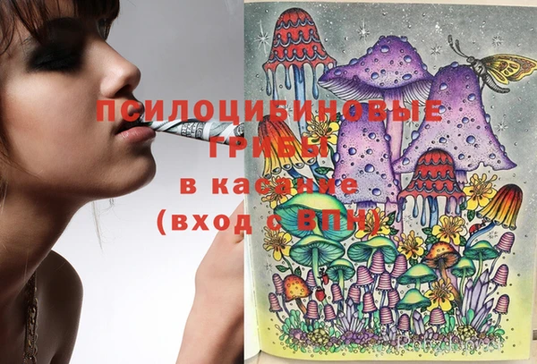 mix Лабытнанги
