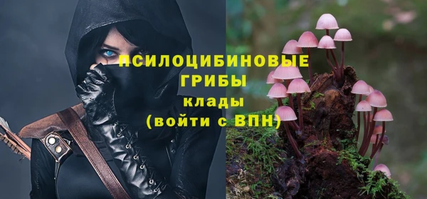 дживик Ладушкин