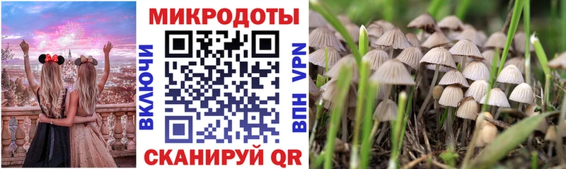 Галлюциногенные грибы мицелий Отрадный
